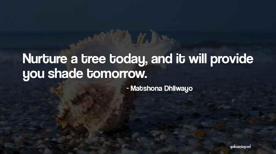 Whillans Tax Quotes By Matshona Dhliwayo Whillans Tax Quotes By Matshona Dhliwayo
