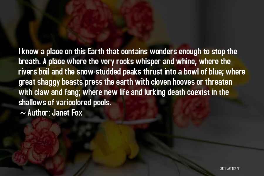 Whine Quotes By Janet Fox Whine Quotes By Janet Fox