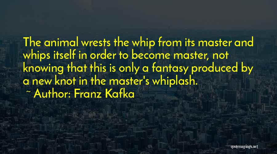 Whiplash Quotes By Franz Kafka