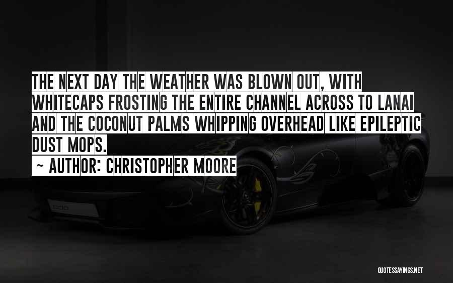 Whipping Quotes By Christopher Moore