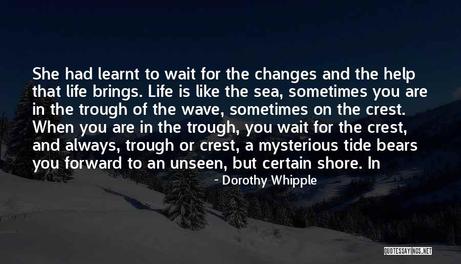 Whipple Quotes By Dorothy Whipple Whipple Quotes By Dorothy Whipple