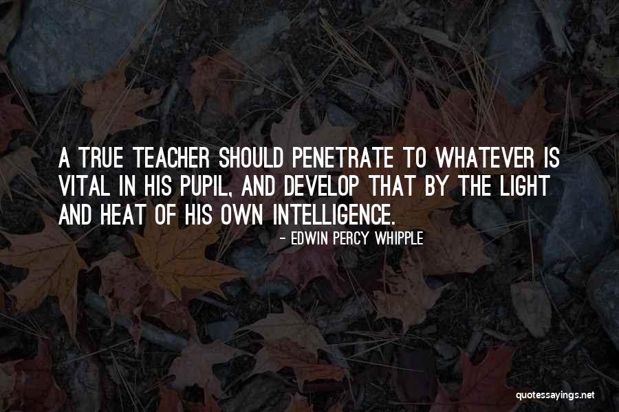 Whipple Quotes By Edwin Percy Whipple Whipple Quotes By Edwin Percy Whipple