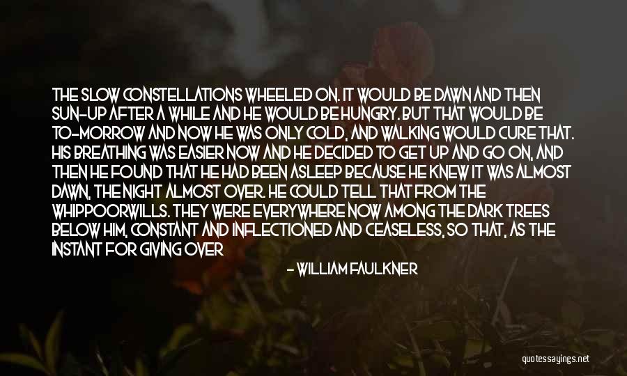 Whippoorwills Birds Quotes By William Faulkner Whippoorwills Birds Quotes By William Faulkner