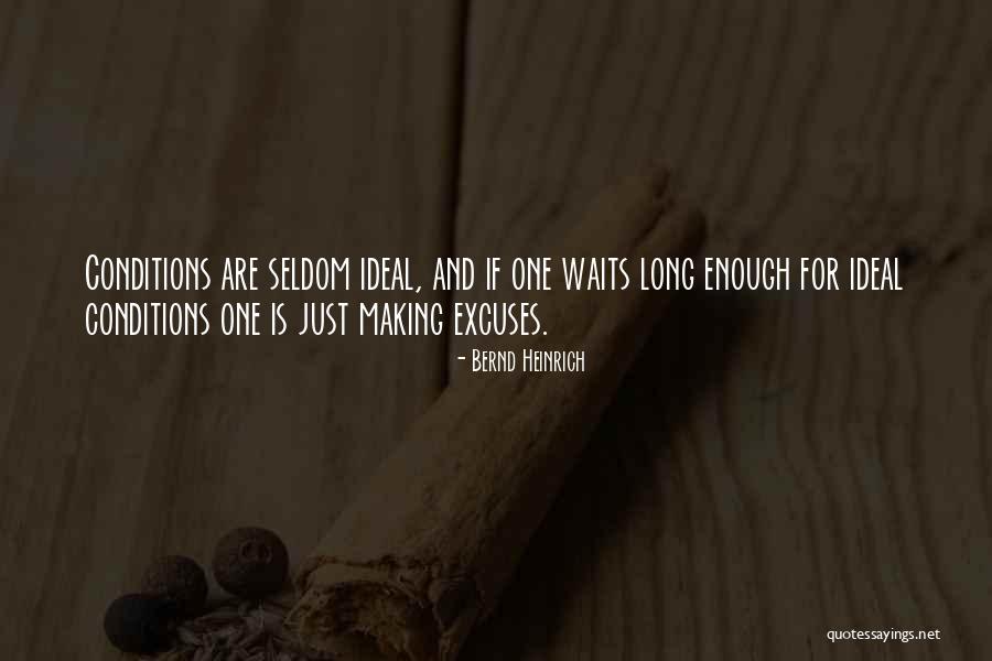 Whiptail Grill Quotes By Bernd Heinrich Whiptail Grill Quotes By Bernd Heinrich