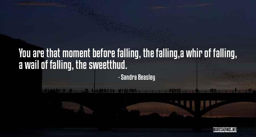 Whir Quotes By Sandra Beasley Whir Quotes By Sandra Beasley