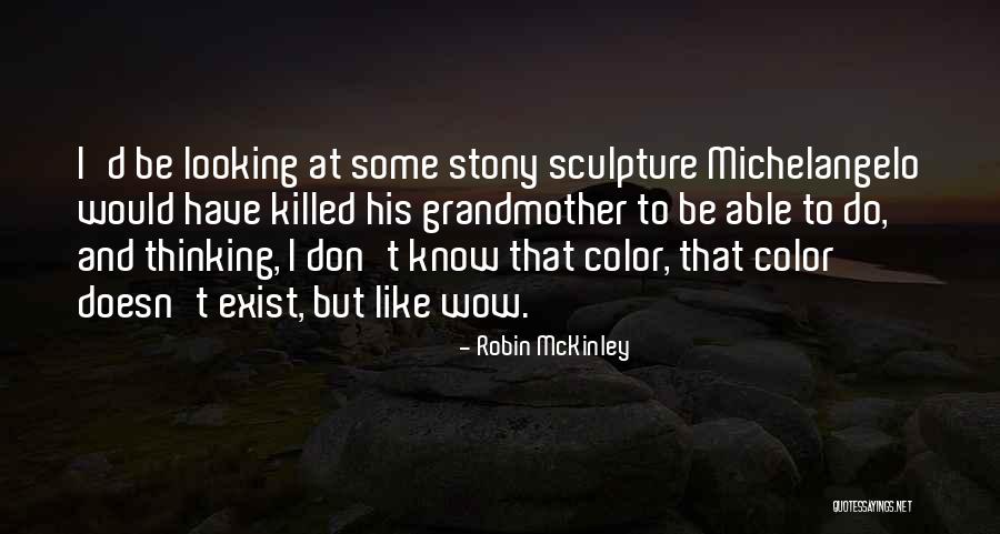 Whirligig Quotes By Robin McKinley Whirligig Quotes By Robin McKinley