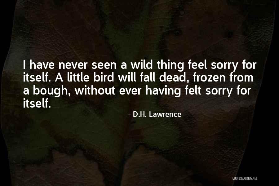 Whirlows Entertainment Quotes By D.H. Lawrence Whirlows Entertainment Quotes By D.H. Lawrence