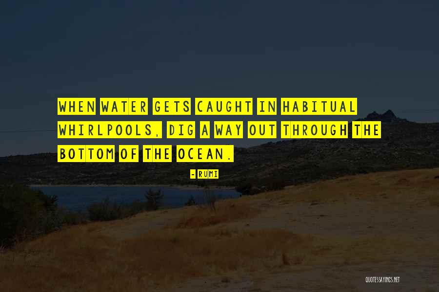 Whirlpools In Water Quotes By Rumi Whirlpools In Water Quotes By Rumi