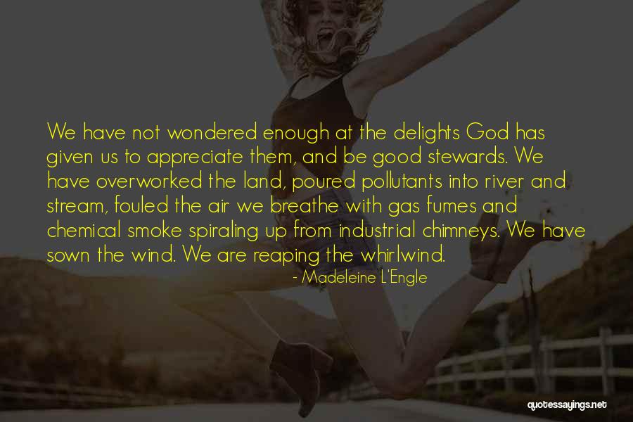 Whirlwind Quotes By Madeleine L'Engle