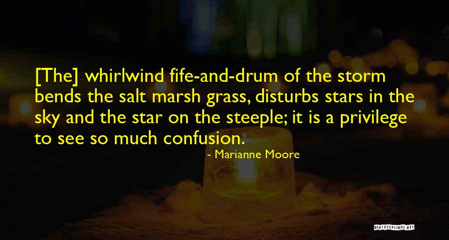 Whirlwind Quotes By Marianne Moore