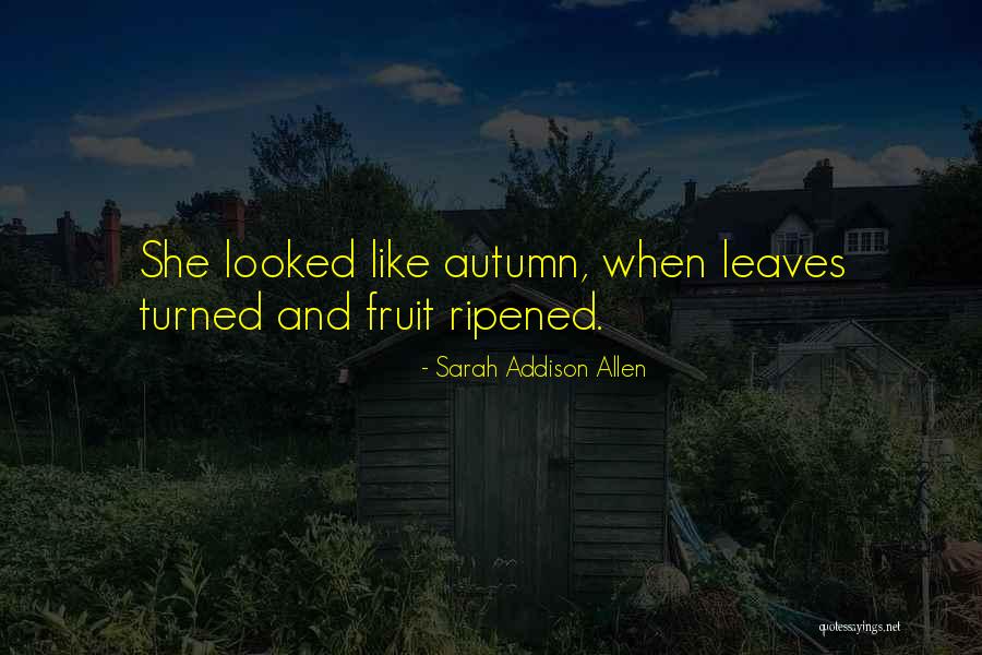 Whirlwinds Yorkies Quotes By Sarah Addison Allen Whirlwinds Yorkies Quotes By Sarah Addison Allen