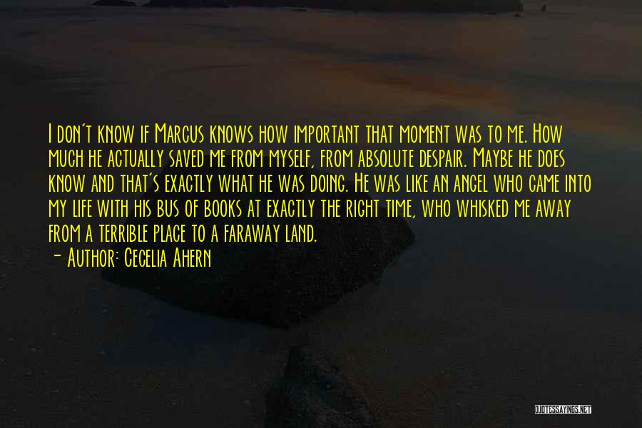 Whisked Away Quotes By Cecelia Ahern