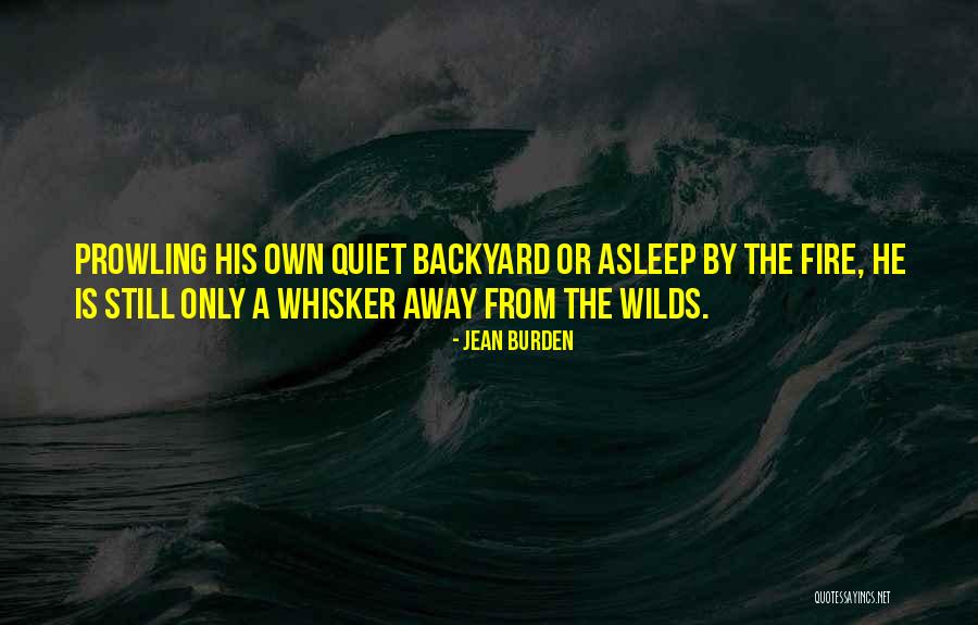 Whisker Away Quotes By Jean Burden Whisker Away Quotes By Jean Burden