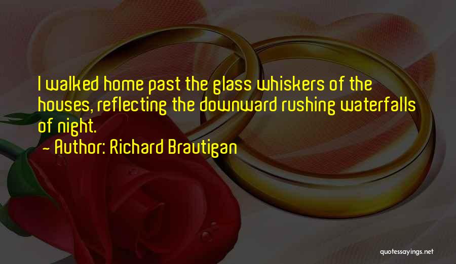 Whiskers Quotes By Richard Brautigan