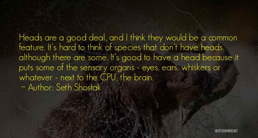 Whiskers Quotes By Seth Shostak
