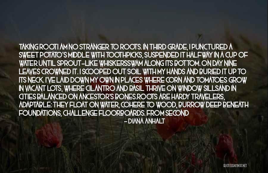Whiskers R We Quotes By Diana Anhalt Whiskers R We Quotes By Diana Anhalt