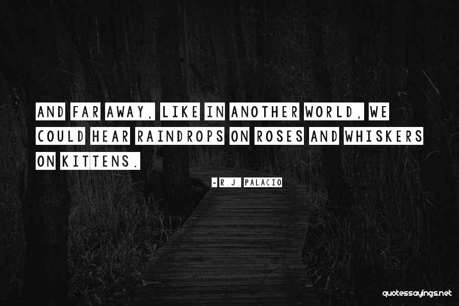 Whiskers R We Quotes By R.J. Palacio Whiskers R We Quotes By R.J. Palacio