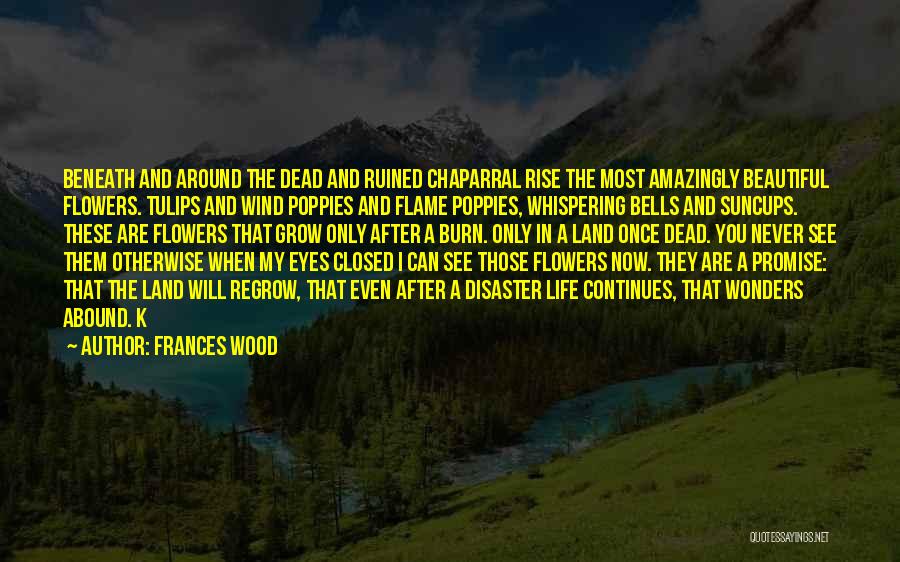 Whispering Wind Quotes By Frances Wood