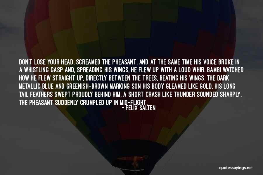 Whistling In The Dark Quotes By Felix Salten Whistling In The Dark Quotes By Felix Salten
