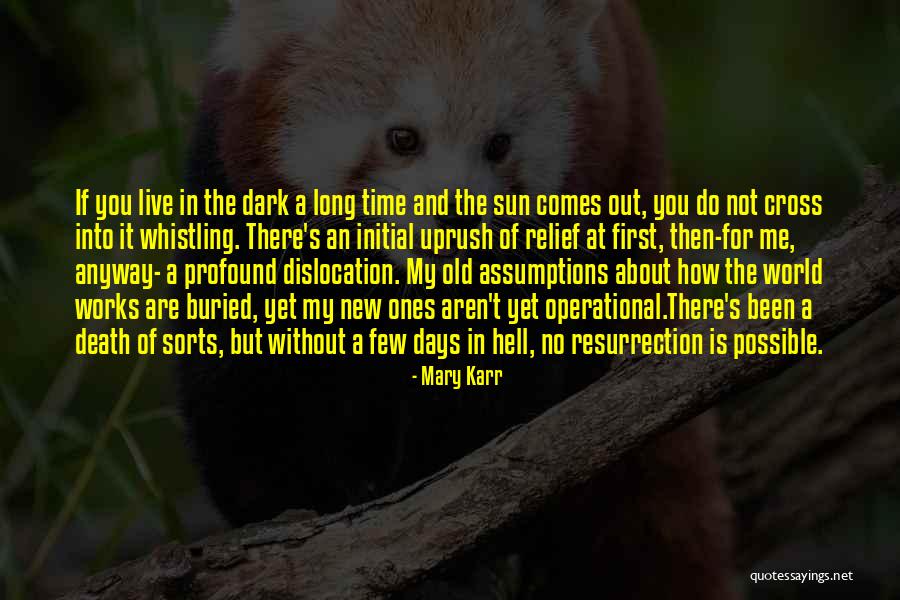 Whistling In The Dark Quotes By Mary Karr Whistling In The Dark Quotes By Mary Karr
