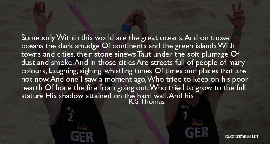 Whistling In The Dark Quotes By R.S. Thomas Whistling In The Dark Quotes By R.S. Thomas
