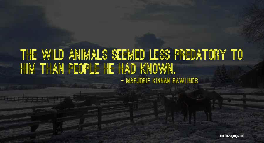 Whitcombe Productions Quotes By Marjorie Kinnan Rawlings Whitcombe Productions Quotes By Marjorie Kinnan Rawlings
