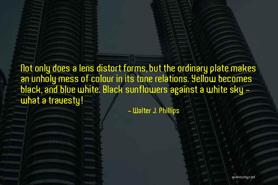 White And Black Photography Quotes By Walter J. Phillips