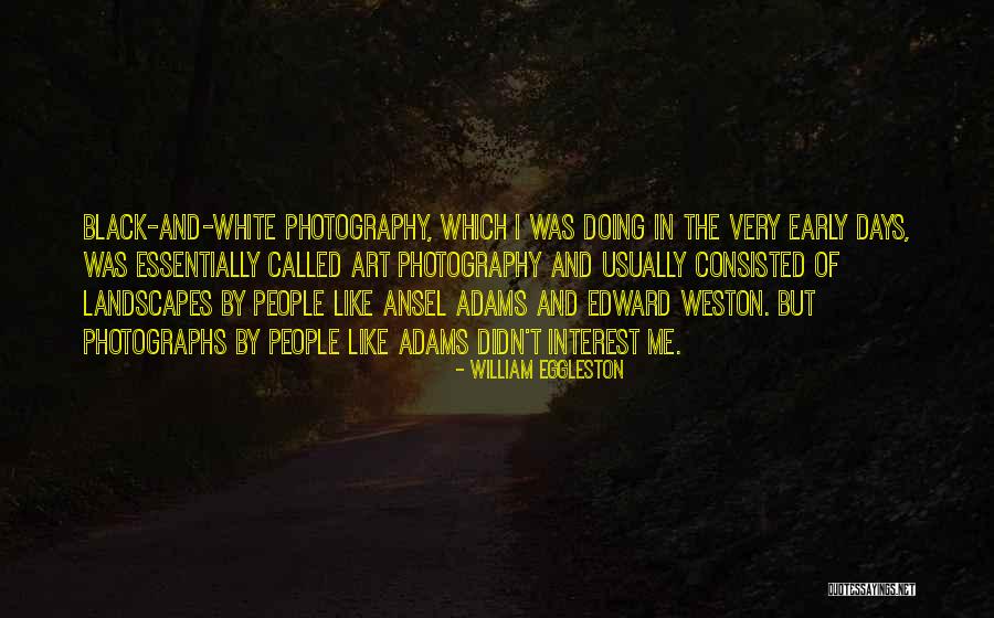 White And Black Photography Quotes By William Eggleston White And Black Photography Quotes By William Eggleston