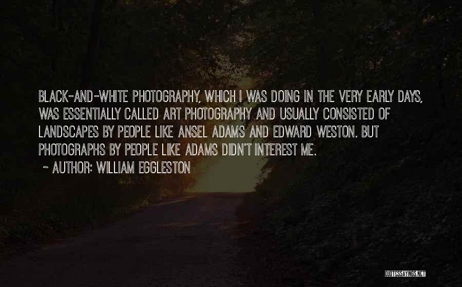 White And Black Quotes By William Eggleston