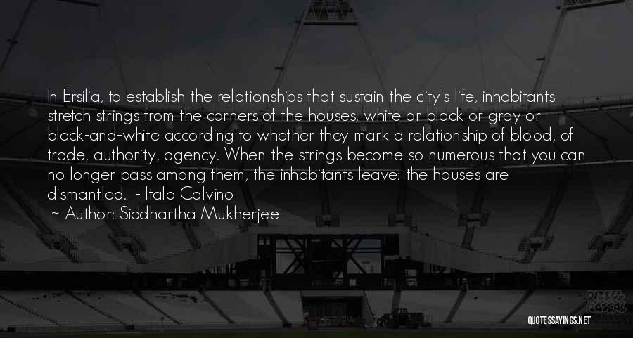 White And Black Relationships Quotes By Siddhartha Mukherjee