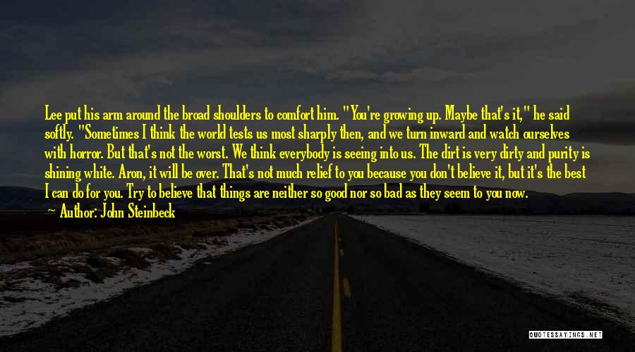 White And Purity Quotes By John Steinbeck