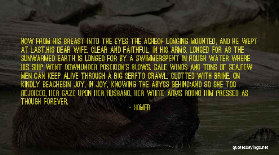 White Beaches Quotes By Homer White Beaches Quotes By Homer