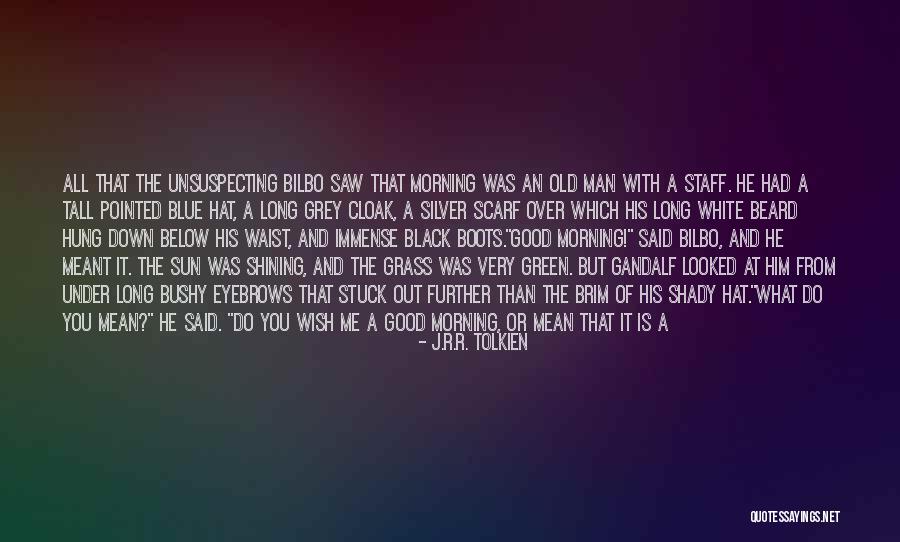 White Beard Quotes By J.R.R. Tolkien White Beard Quotes By J.R.R. Tolkien