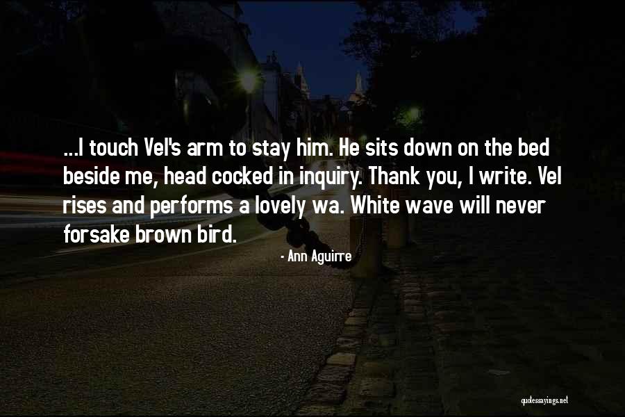 White Bird Quotes By Ann Aguirre White Bird Quotes By Ann Aguirre