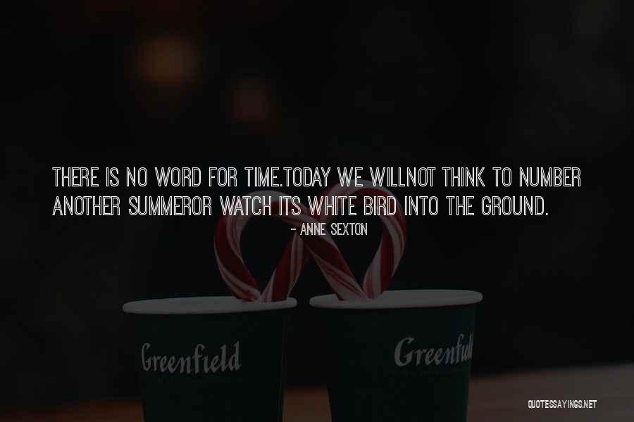 White Bird Quotes By Anne Sexton White Bird Quotes By Anne Sexton