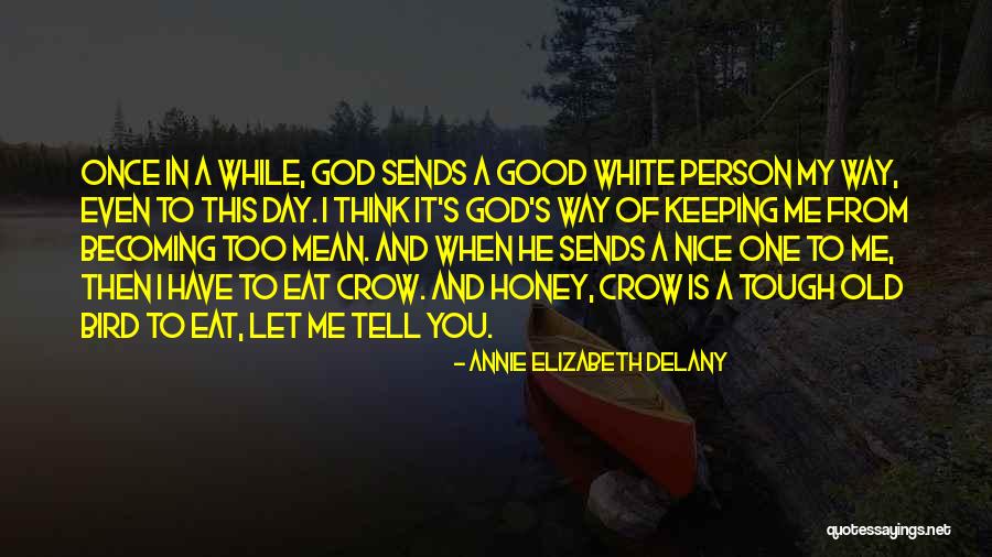 White Bird Quotes By Annie Elizabeth Delany