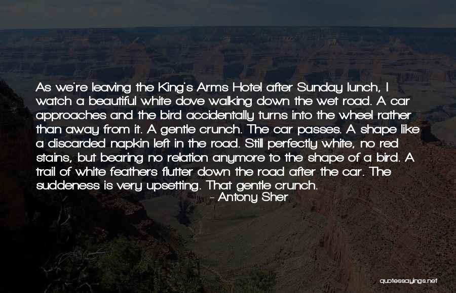 White Bird Quotes By Antony Sher White Bird Quotes By Antony Sher