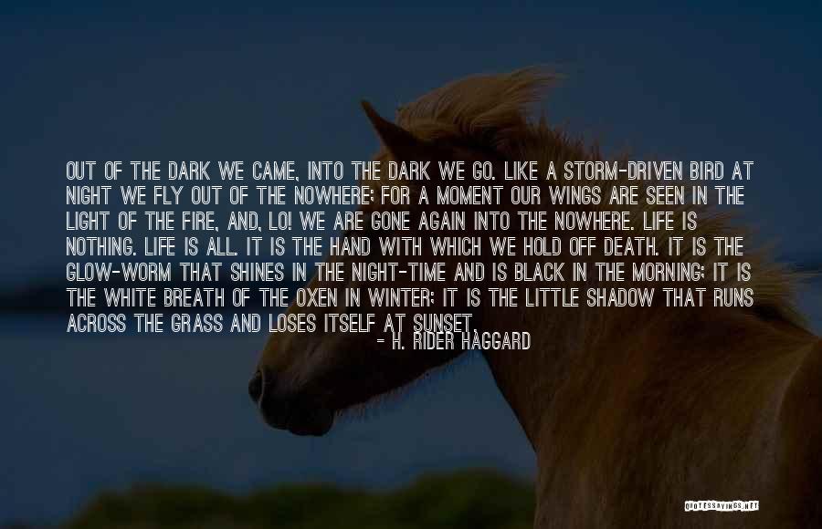 White Bird Quotes By H. Rider Haggard White Bird Quotes By H. Rider Haggard