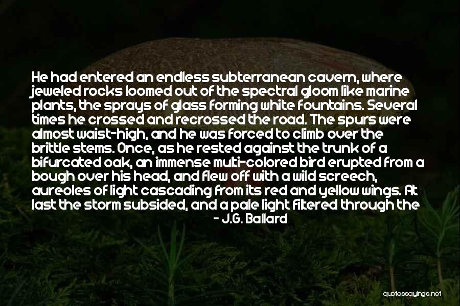 White Bird Quotes By J.G. Ballard White Bird Quotes By J.G. Ballard