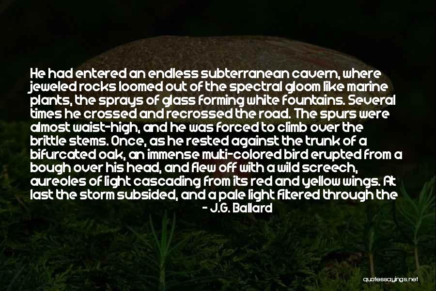 White Bird Quotes By J.G. Ballard