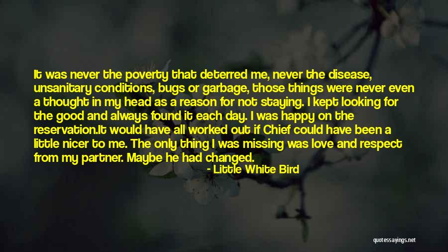 White Bird Quotes By Little White Bird White Bird Quotes By Little White Bird