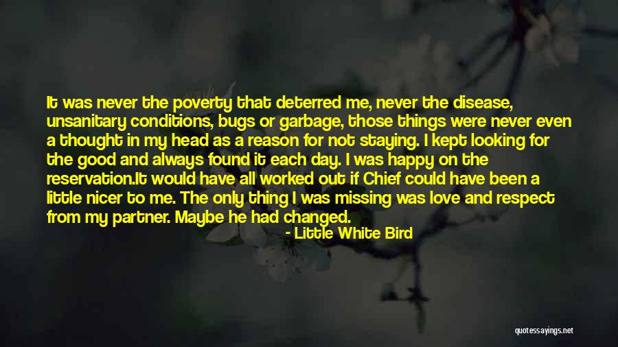 White Bird Quotes By Little White Bird