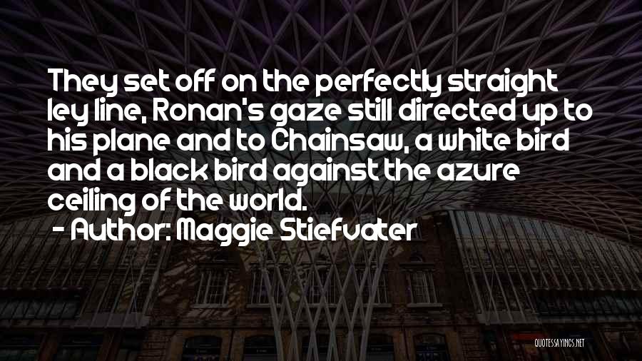 White Bird Quotes By Maggie Stiefvater