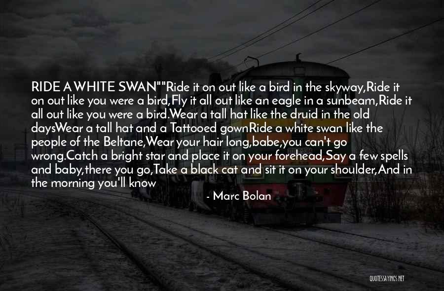 White Bird Quotes By Marc Bolan