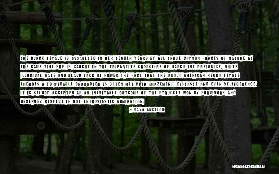 White Bird Quotes By Maya Angelou White Bird Quotes By Maya Angelou