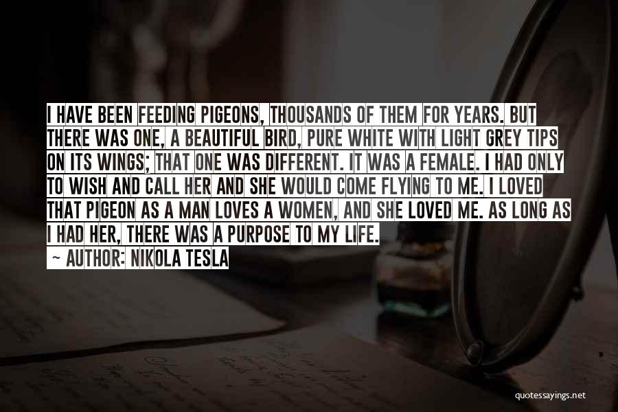 White Bird Quotes By Nikola Tesla