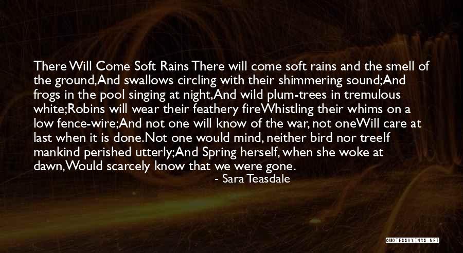 White Bird Quotes By Sara Teasdale White Bird Quotes By Sara Teasdale