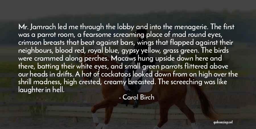 White Birds Quotes By Carol Birch White Birds Quotes By Carol Birch