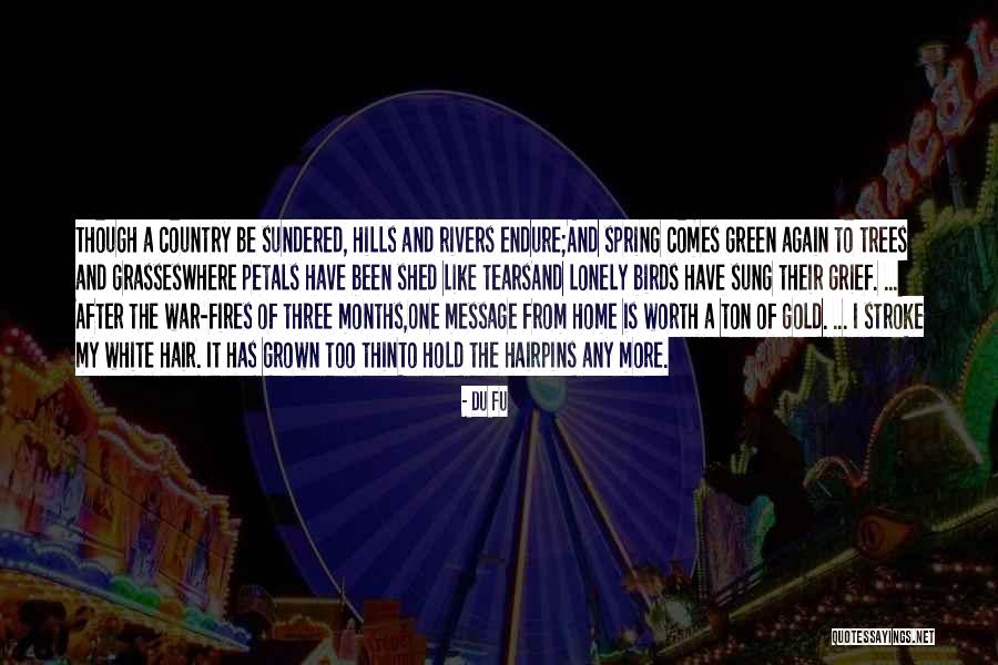 White Birds Quotes By Du Fu White Birds Quotes By Du Fu