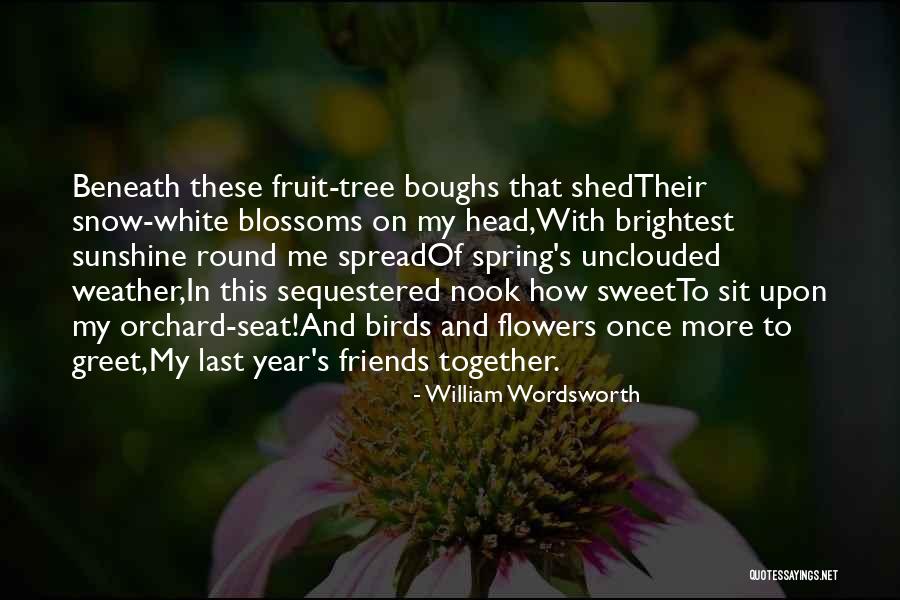 White Birds Quotes By William Wordsworth White Birds Quotes By William Wordsworth